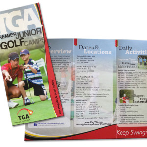 Business Brochure
